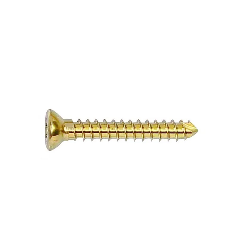 10Pcs 1.1 / 1.5/2.0 / 2.4 / 2.7mm Titanium Alloy Screws For Small Animals And Pets