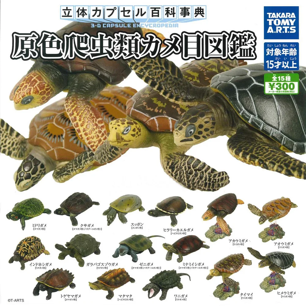 

Genuine Gashapon Toys Three Dimensional Encyclopedia Turtle 15 Type of Action Figure Model Ornaments Toys