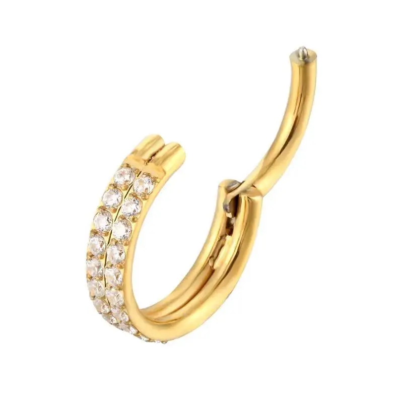 G23 Titanium Piercing Double row CZ Superior Quality Hight Segment Rings Small Septum Nose Rings Earrings Piercing Body Jewelry image 2