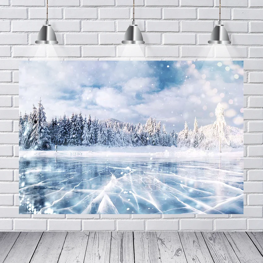 Winter glacial forest photography backdrops outdoor scenery portrait Photographic backgrounds Photo studio photobooth photocall