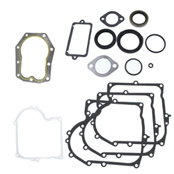 Nuovo set di guarnizioni per Briggs & Stratton 494241 490525   Set guarnizioni di ricambio