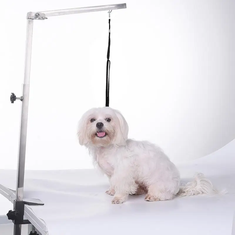 Used Grooming Table: A Comprehensive Review and Guide for Pet Groomers
