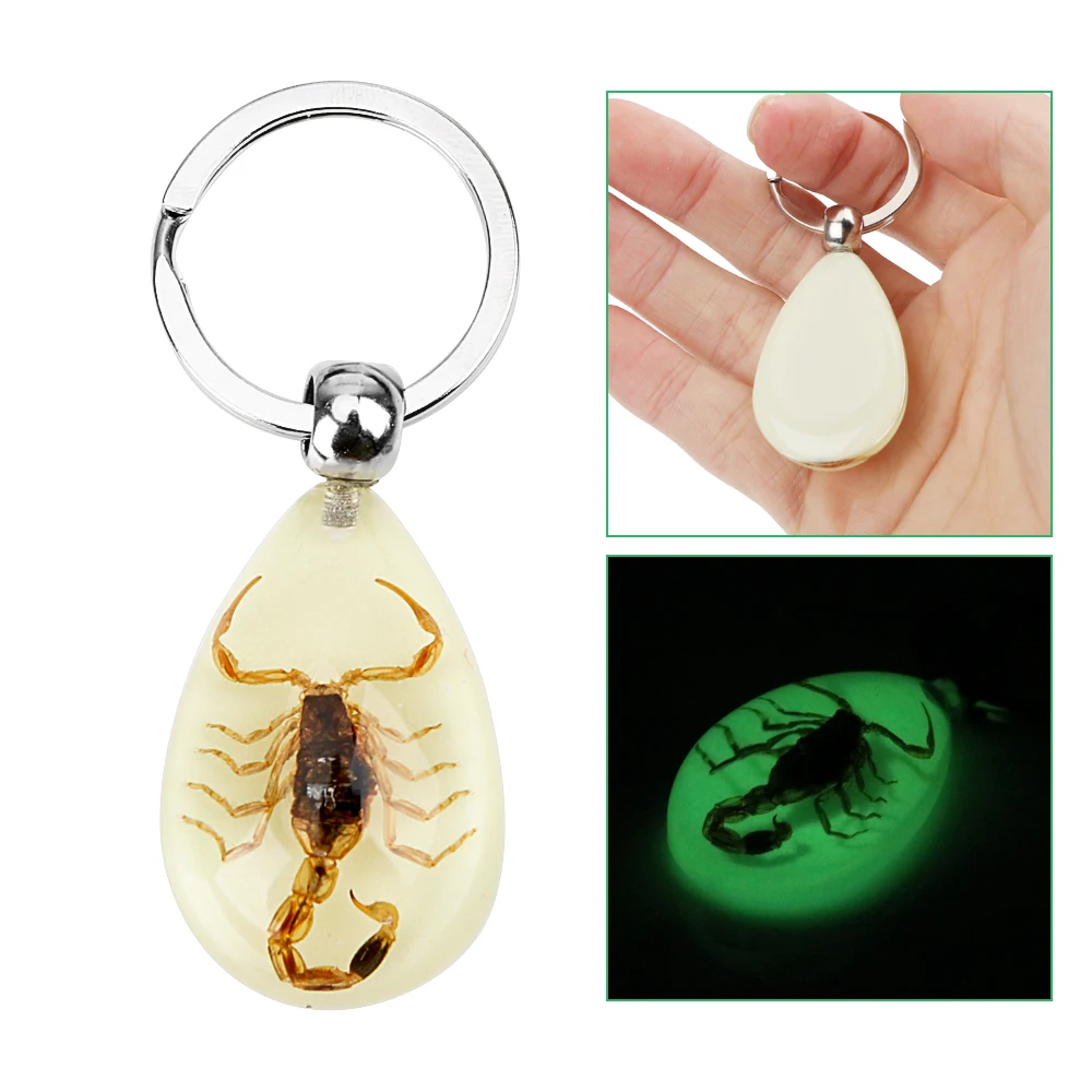 Car Keyring Keychain  Handbag Wallet Pendant Noctilucent Key Rings Scorpion Amber Pendant Creative Scorpion Key Holder