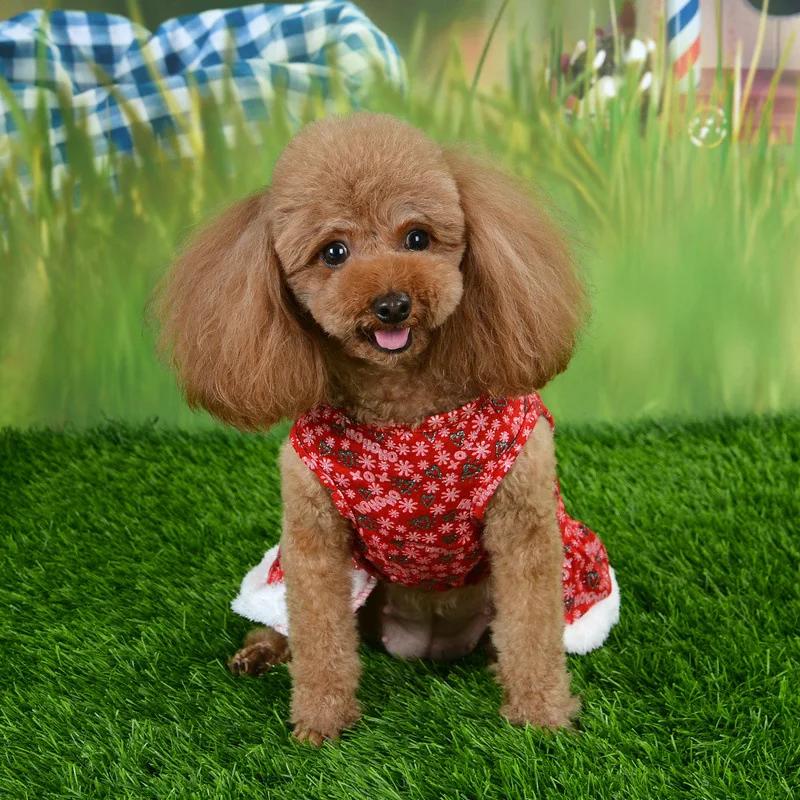 New Year Clothes Pet Cloth For Teddy Poodle Dogs Cats Christmas Dress Festive Winter Warm Breathable Comfy Floral Costume