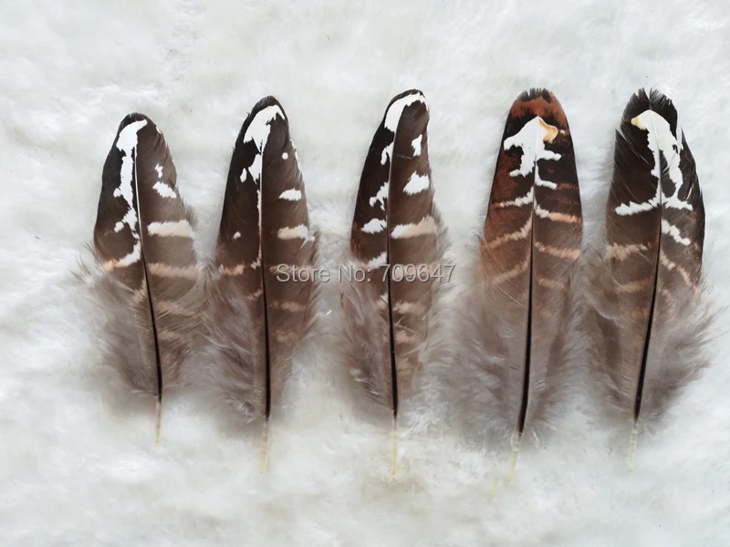 200Pcs/Lot 8-10cm Nature Brown&White Reeves Venery Pheasant Wing Feathers,Crafts Plume Jewelry Making DIY Party Wedding Handwork