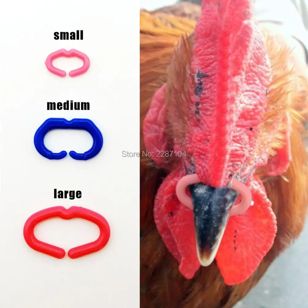 50pcs Chicken Beak Clasp Cock Fasan Mouth Snap Ring Replace Peepers Eye Glasses Blinders Spectacles Anti-pecking Feed Plier tool