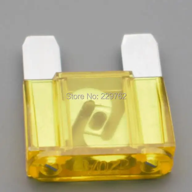 Shhworldsea 2PCS Large Blade Style Auto Truck Maxi Fuse 20A 30A 40A 50A 60A 70A 80A 100A 120A Wholesale Fuse for Car Auto 32V