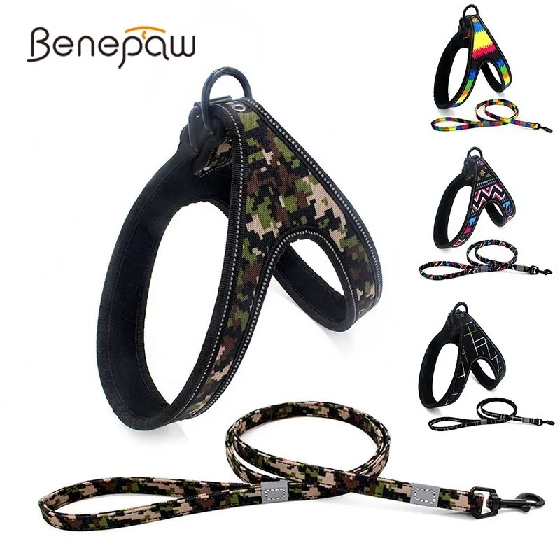 Benepaw Fashion Reflective Pet Harness Leash Set For Small Medium Dogs Durable Soft Padded Halter Dog Harness Chihuahua Puppy