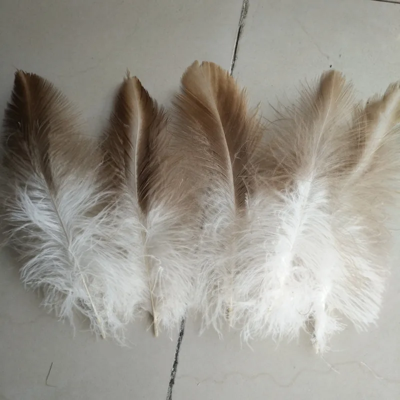 Wholesale 10pcs / lot beautiful rare eagle feathers long 8-10 inch /20-25 cm DIY  Diy jewelry wedding decorative accessories