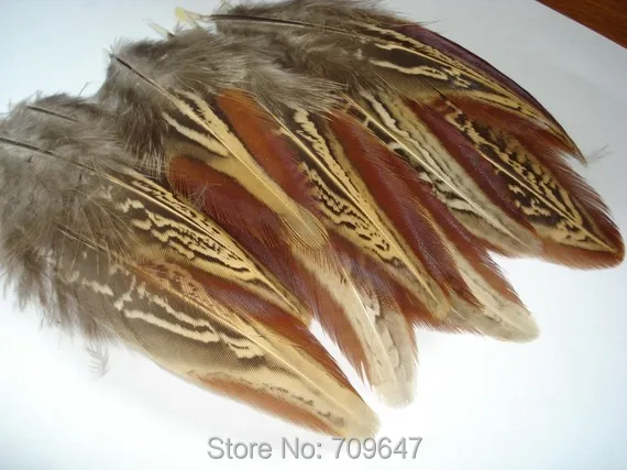 New!500PCS/LOT 5-8cm Natural Ringneck Pheasant Plumage Feathers,craft Ringneck feathers,feathers for earrings