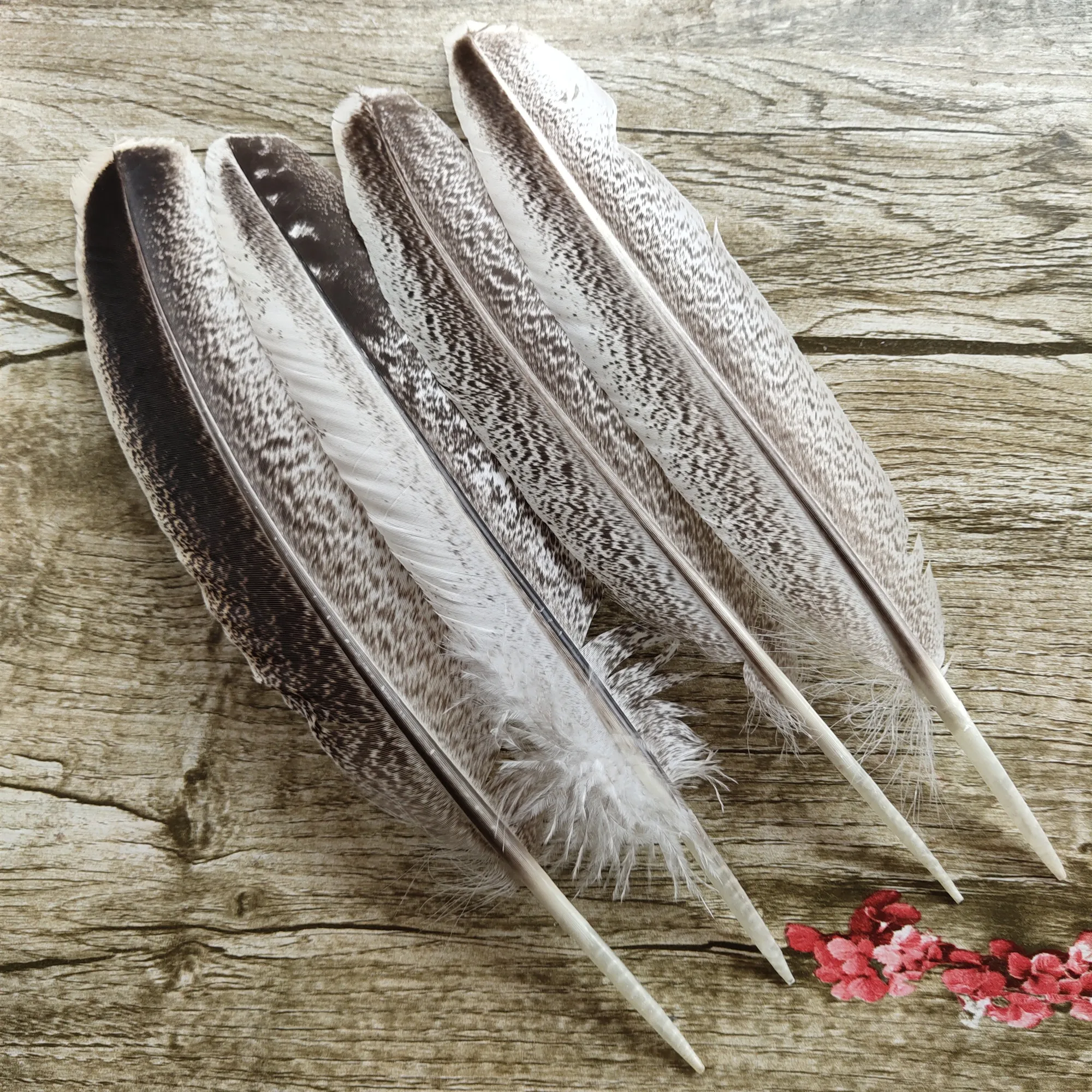 Hot Selling 10PCS Beautiful 22-30 CM Natural Wild Turkey Tail Feathers Size Selection For wedding Christmas decoration