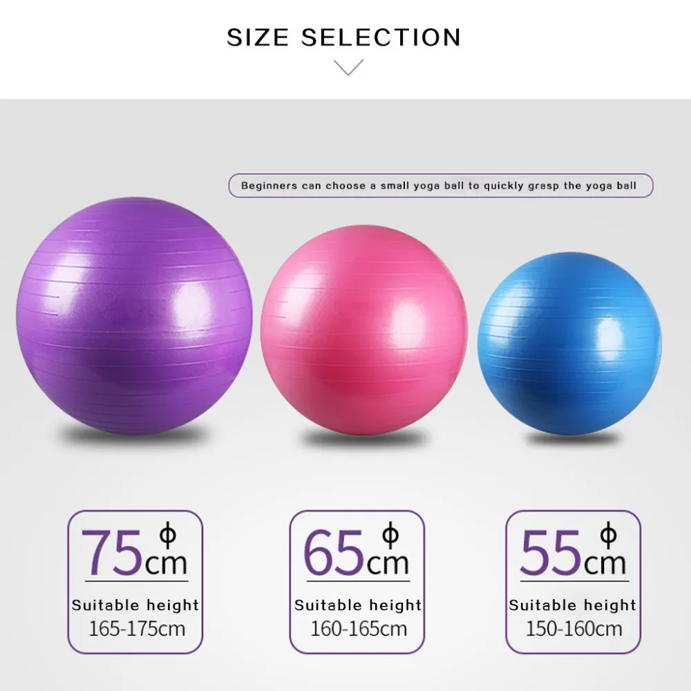 Sports Yoga Balls Pilates Fitball Exercise Ball for Gym Fitness Balance Equipment Workout Accessories 55cm 65cm 75cm