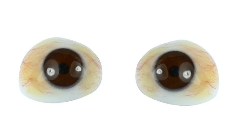 

2pcs Apparats consumables eye health eye high artificial eye double layer