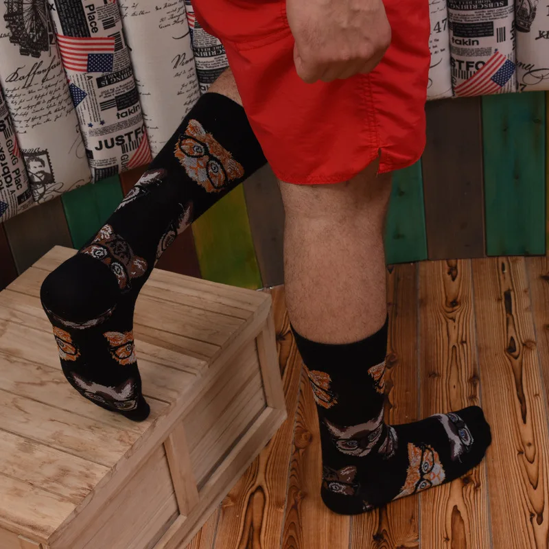 Lustige SOCKEN männer Kanister GLÜCKLICH SOCKEN Cartoon Tier MLAE Belüftung Shark SOCKEN Katze Fisch Hund Cocks harajuku hip hop van gogh