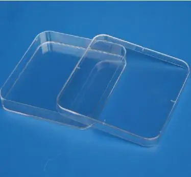 

Laboratory analysis Disposable Plastic Polystyrene Petri Dishs 13*13cm,Sterile, 10pcs/pack !