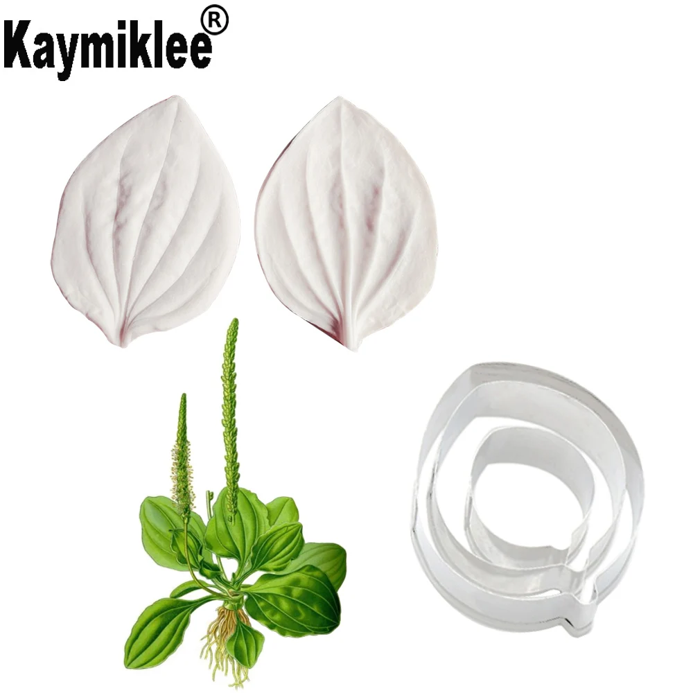 

Plantain Leaf Petals Veiners Silicone Molds Fondant Sugarcraft Gumpaste Clay Water Paper Cake Decorating Tools CS329