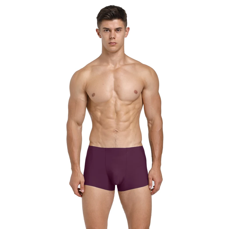 1 PCS/LOT Sexy Men Male Underwear Men\'s Boxer Underwear Comfortable Panties Nylon Man Underwear Boxer Underpants FX019