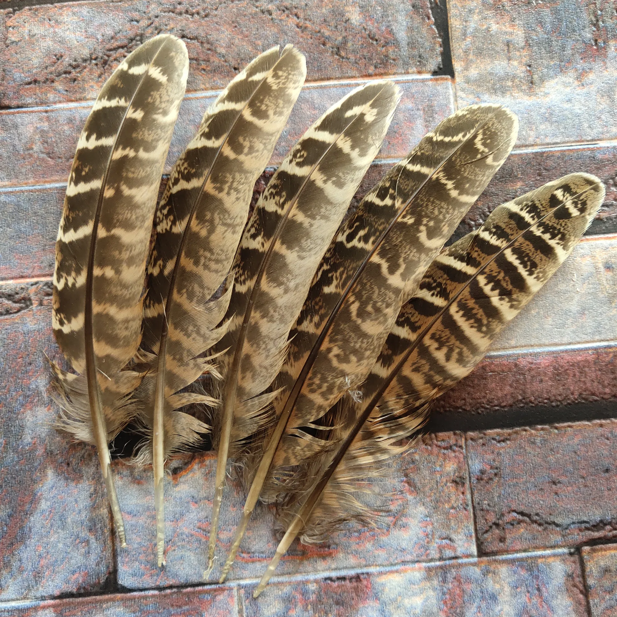 Hot Selling 10 pcs beautiful high quality 10-15cm/4-6inches natural pheasant feathers 11 colors optional DIY decorative