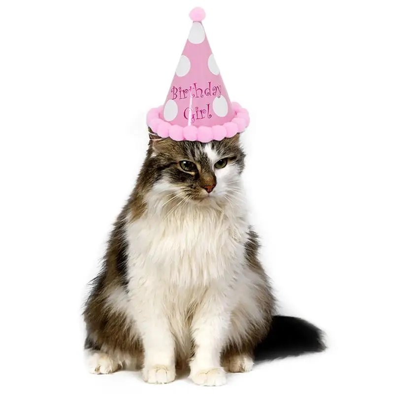 Cute Pet Dog Cat Headgear Birthday Hats Dot With Hairball Cap Party Cone Hat For Pet Celebration Decorations Accessories