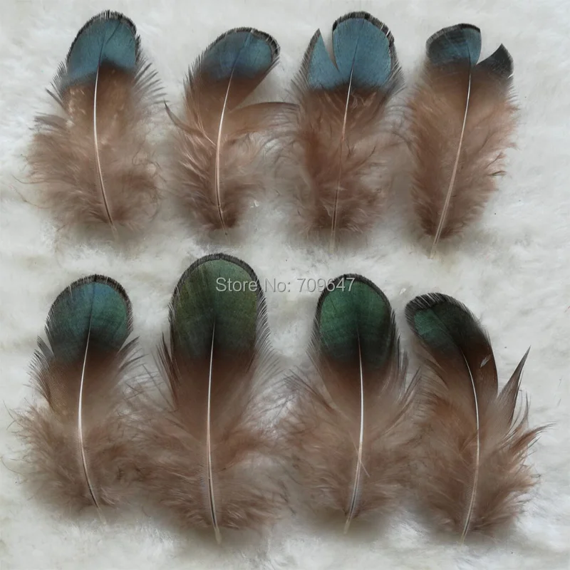 200Pcs/Lot 5-8CM Loose Green Bronze Lady Amherst Pheasant Plumage Feathers for Diy Carnival Costume Mask Headdress Decoration