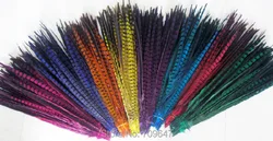 Plumas de colores!10Pcs/Lot!14-16