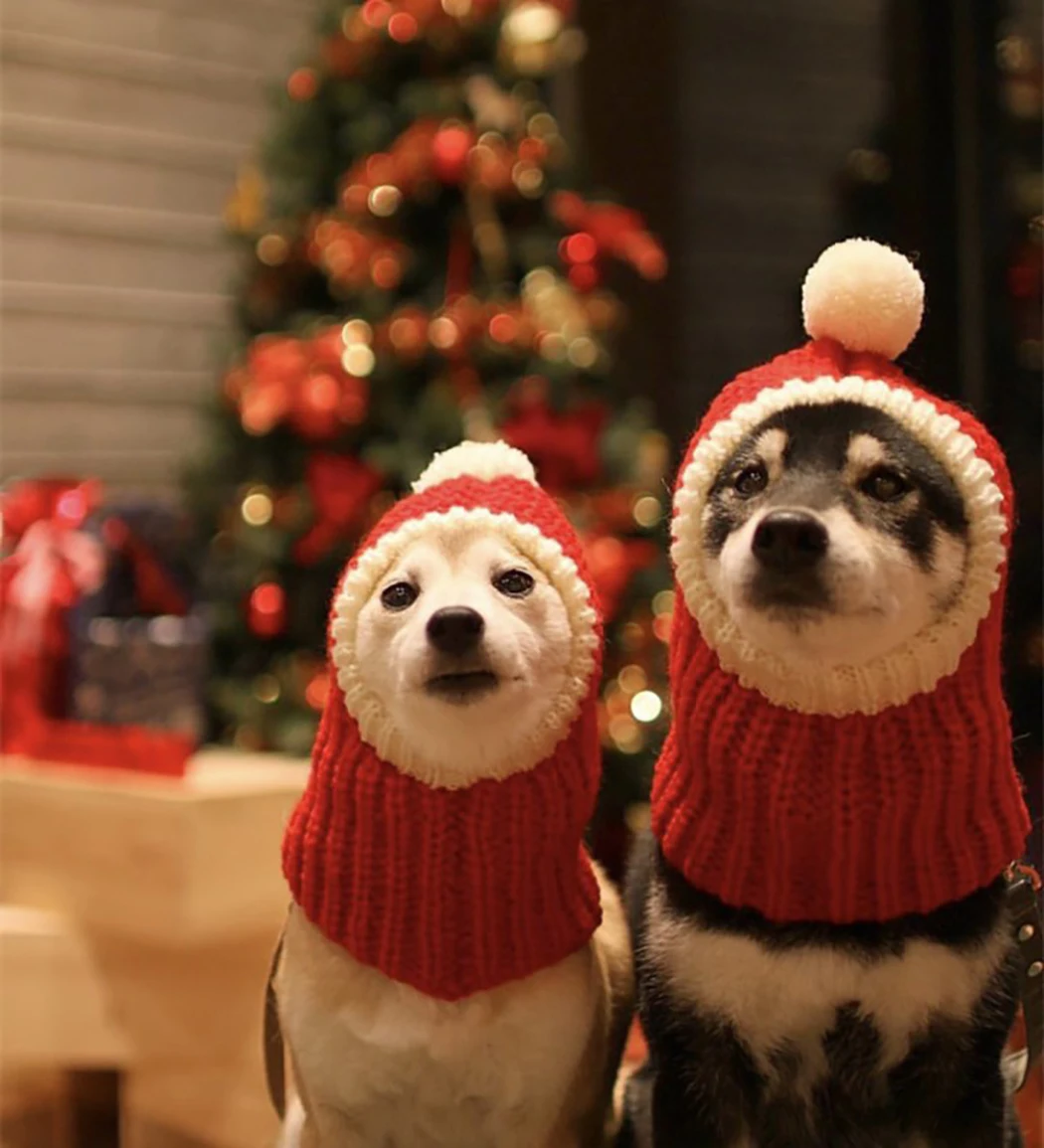 Christmas  Knitted Pets Store Warm Lovely Dog Hats For Pets Cats Winter Warm Knitting Dog Cap Dog Beanie For Puppies Kittens