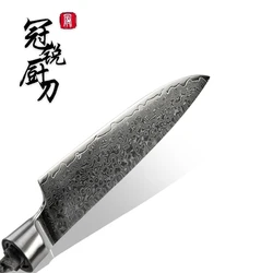 Damascus Knife Blank Blade VG10 Japanese Damascus Steel DIY Tools Kitchen Knives Parts Hobby Chef's Paring Knife 67 Layers PRO