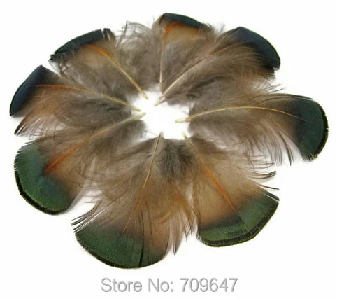 200Pcs 4-6cm GREEN BRONZE Pheasant Plumage feathers for Crafts Jewelry Making Accessorie Wedding Decoration Dream Catcher Plumes