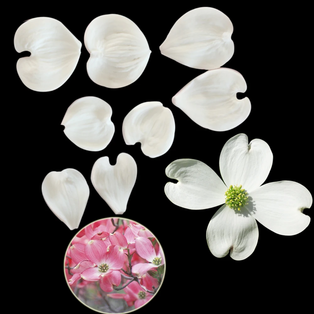 Dogwood Flower Petals Silicone Veiner Molds Sugarcraft Cold Porcelain Marshmallow Cupcake Mould Earring Decorating Tools m2177