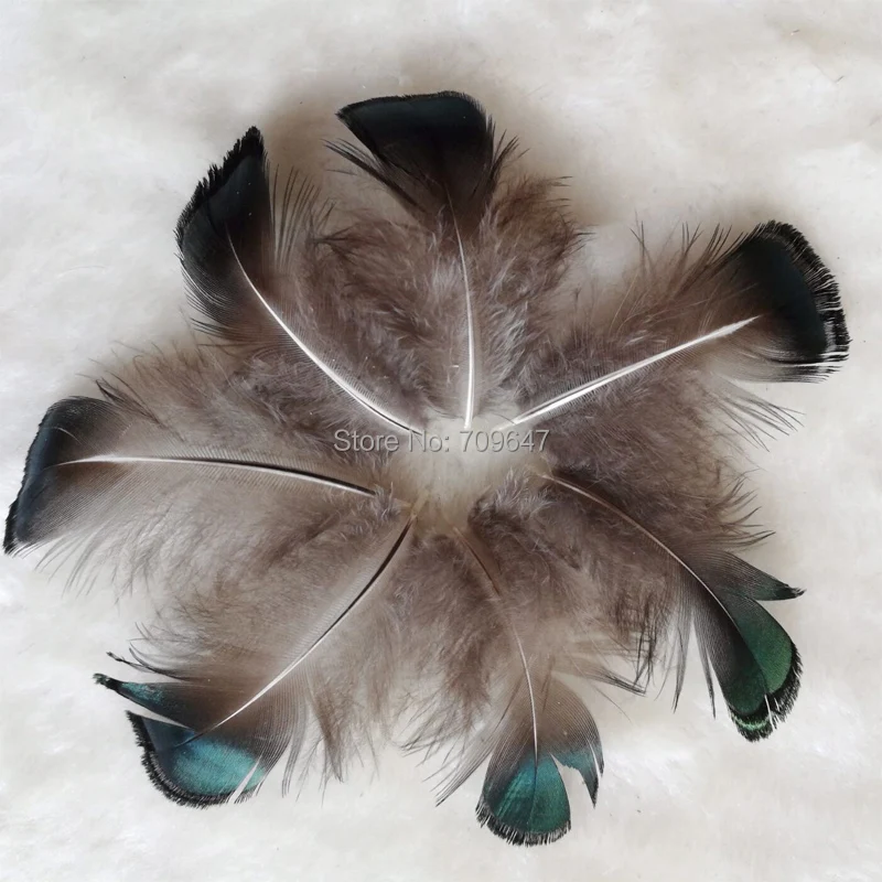 200/500/1000pcs/Lot!4-6CM Small Green Bronze Lady Amherst Pheasant Feathers for Jewelry Making,Costume,Mask Headdress Decoration