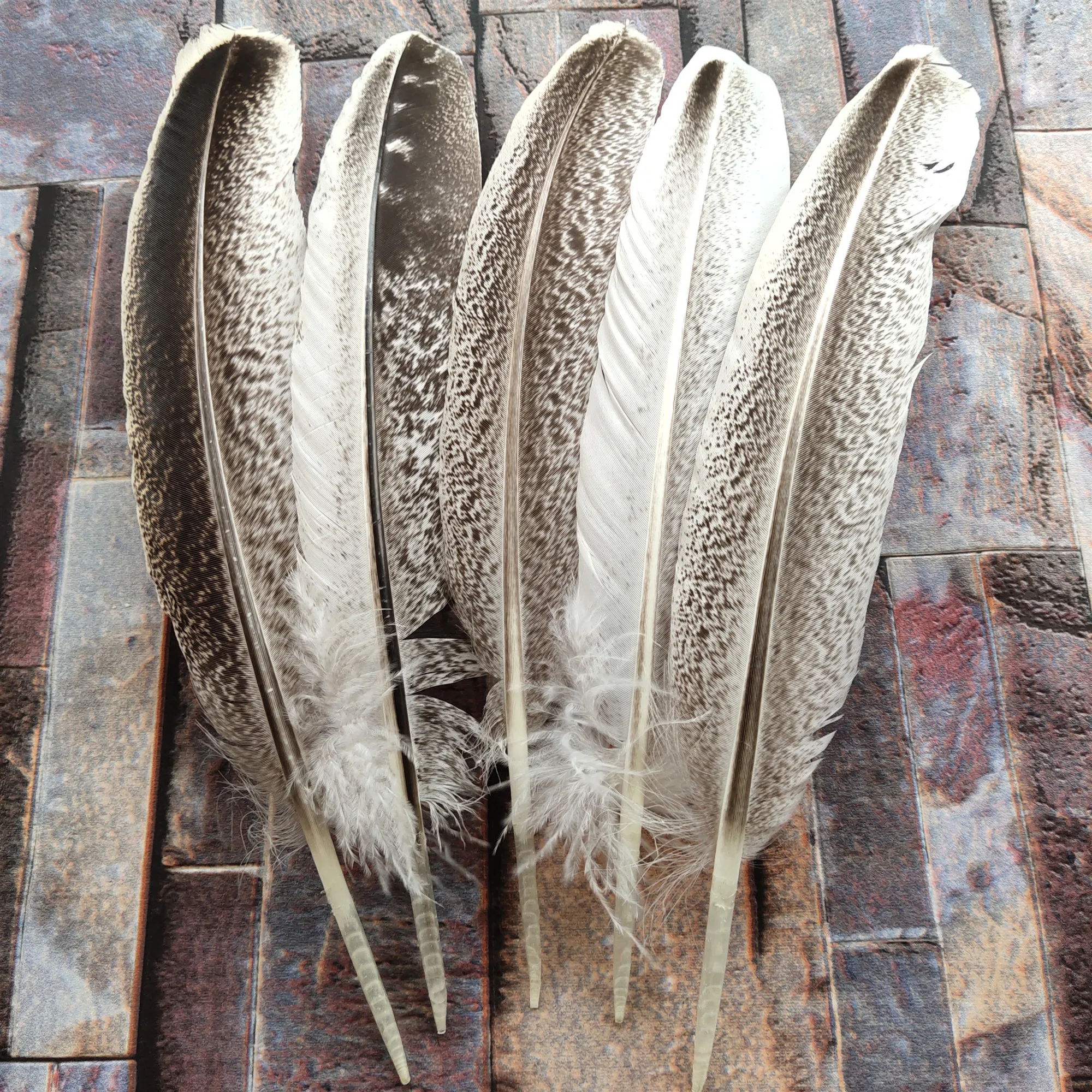 Hot Selling 10PCS Beautiful 20-30 CM Natural Wild Turkey Tail Feathers Size Selection For wedding Christmas decoration