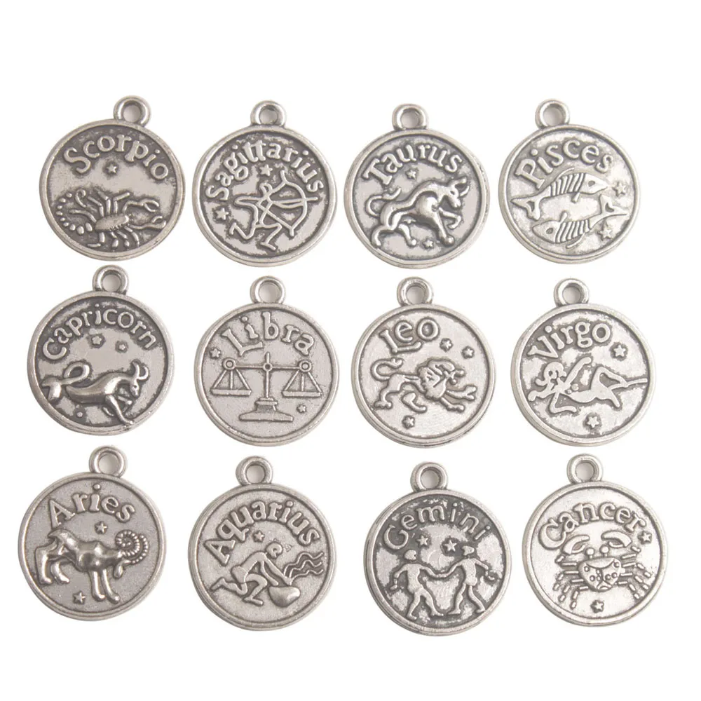 One Box of 264PCS Antiqued Silver Metal Cylinder Zodiac Bead Charms Plus Sign Pendants in Storage