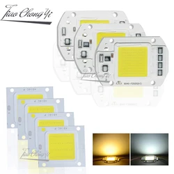 10W 20W 30W 50W  100W LED COB Lamp Chip High Power LED Diode Matrix Array 30V 110V 220V LED Spotlight Bulb Floodlight Lampada