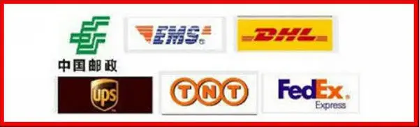 

EMS UPS shipping cost remote Area fee more DHL Fedex TNT Freight difference