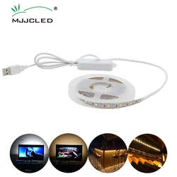 Impermeável LED Strip Light com interruptor, lâmpada USB, SMD 2835, 50cm, 1m, 2m, 3m, 5m, DC 5V, Iluminação de tela desktop