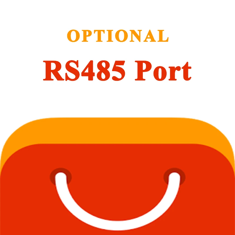 RS485 port (optional)