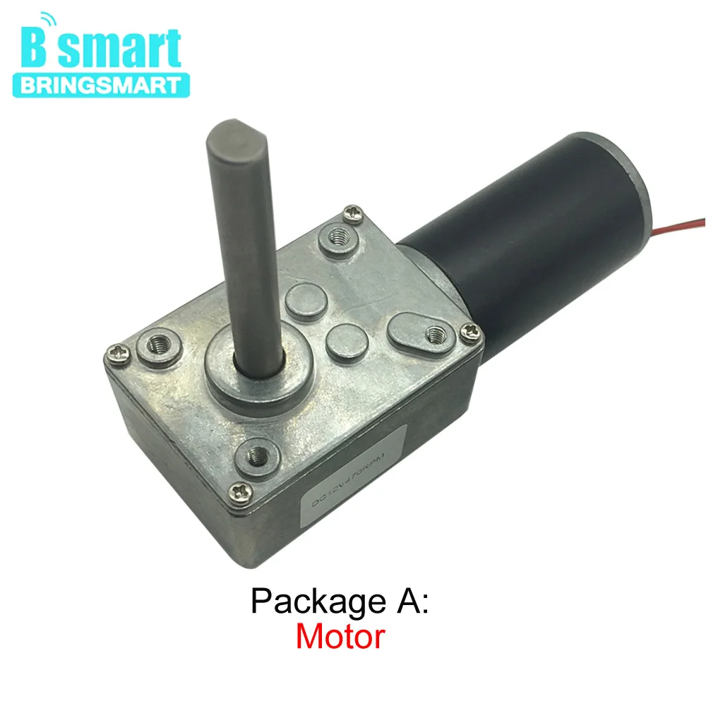 5840-31ZY DC 24V PMDC Worm Geared Motors High Torque 12V Volt DC Motor Reversed Reduction Motor Self-lock Extension Shaft Motor