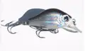 Day Fishing Grey