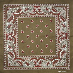 Écharpe Paisley Rouge pour Femme et Homme, 100% Coton, Fond Café, Punk Hip-Hop, Vêtements de Sauna, Bandanas, Foulard, Carré de la raq