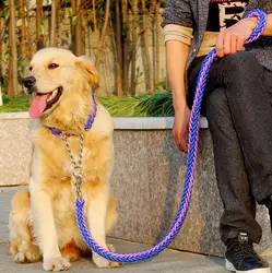 Cuerda de doble hebra para perros grandes, correa de Metal P, hebilla de cadena, Color nacional, juego de Collar de cuerda de tracción para mascotas, 1,2 m de longitud