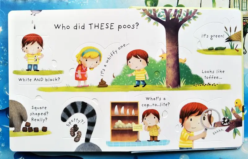 3D Lift The Flap Very First Questions And Answers What Is Poo Flip Picture Board Book Kids Children Early Education