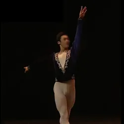 Giacche da balletto da uomo su misura, costumi tunica da balletto viola per adulti o bambini Basili, costumi di danza classica da uomo a maniche lunghe