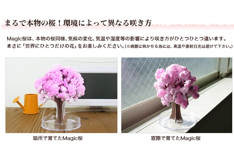 2019 135mm Pink Big Magic Paper Sakura Tree Japanese Magically Growing Trees Kit Desktop Cherry Blossom Christmas Hot Toys 20PCS