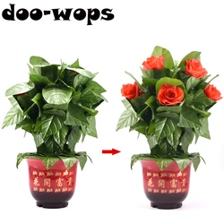 Blooming Rose Bush 10 Flowers - Remote Control Magic Tricks Flowers Appearing Magia Stage Illusions Gimmicks Mental Props Comedy