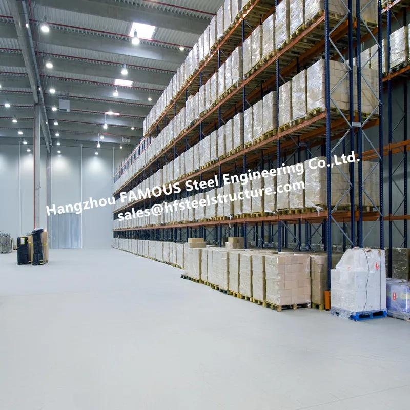 Large Volume Temperature Controlled Cold Storage For Integrated Logistics Distribution Center