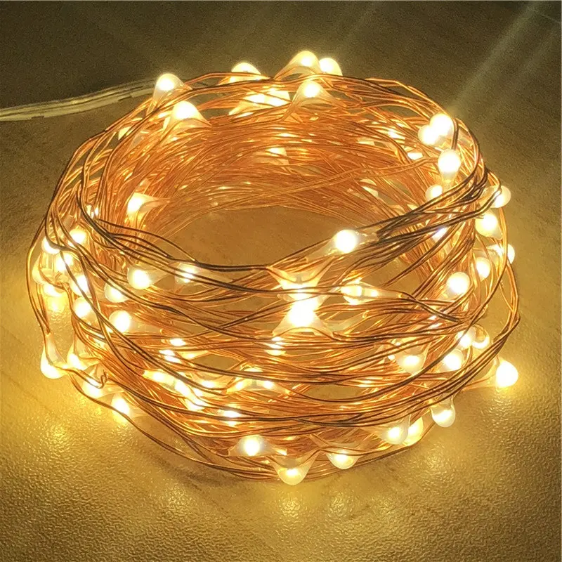 2M 5M 10M Copper Wire LED String Lights 50 100 LED Starry Rope Lights Indoor Outdoor Lighting Home Garden Christmas Decoration