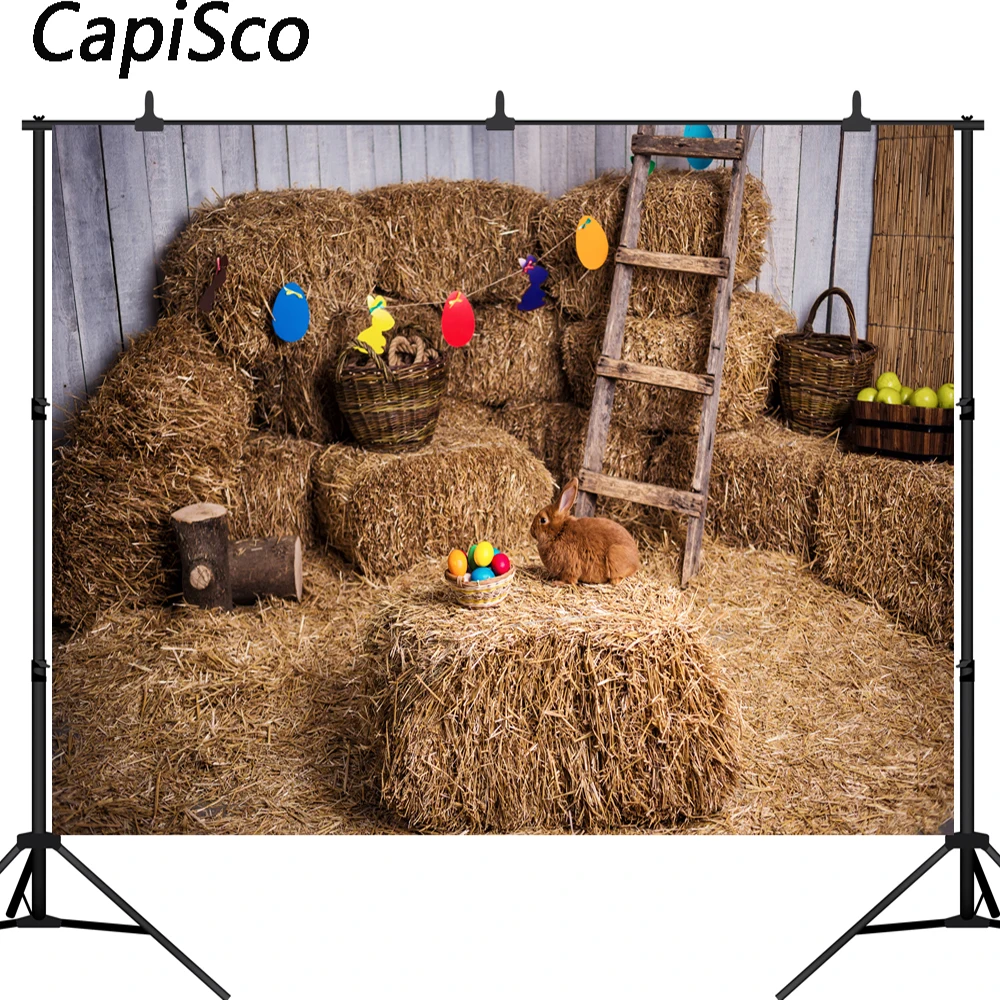 Capisco Farm Haystack Eggs Rabbit Easter Photography Backgrounds Customized Photographic Backdrops Props For Photo Studio