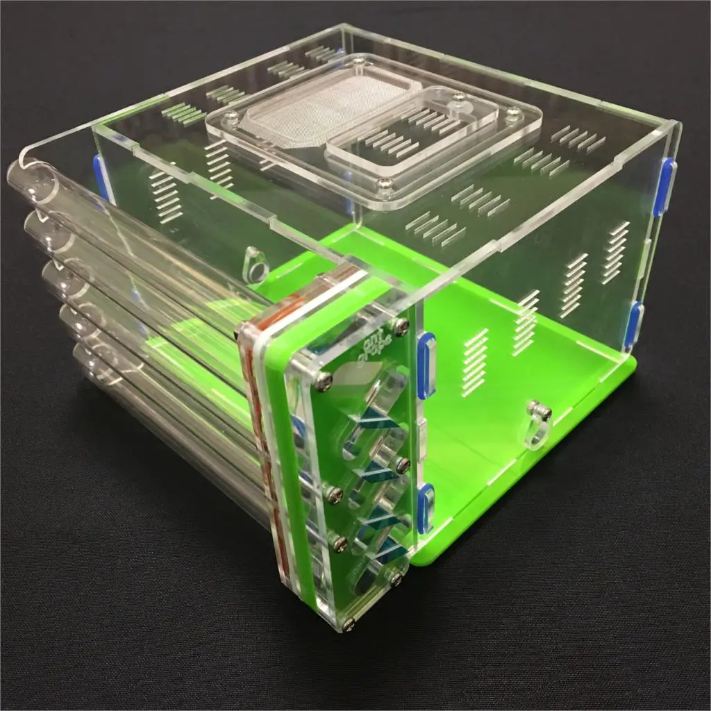 5 tube design big DIY  with feeding area ant nest ,ant farm acryl, insect ant nests villa pet mania for house ants