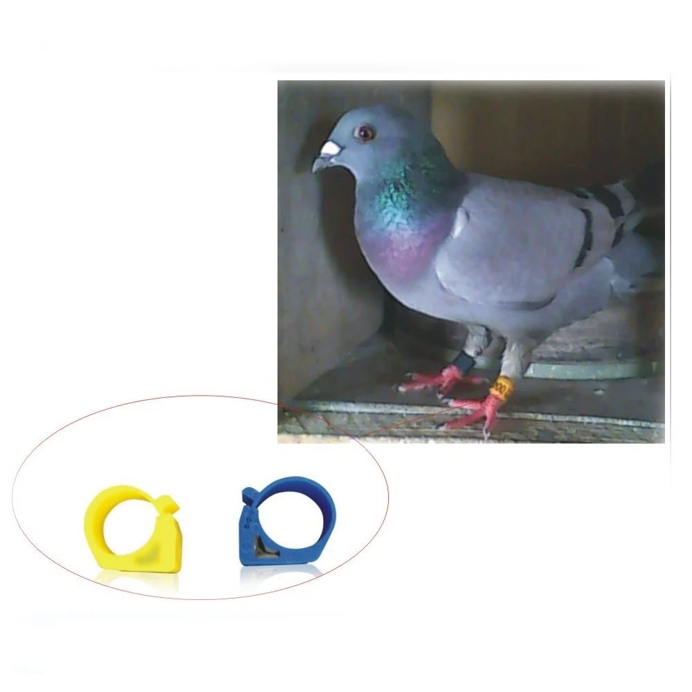 10pcs Hi -tag-S256 pigeon ring plastic Bird leg ring tag Animal rfid ring tag for tracking chicken rings pigeon bird