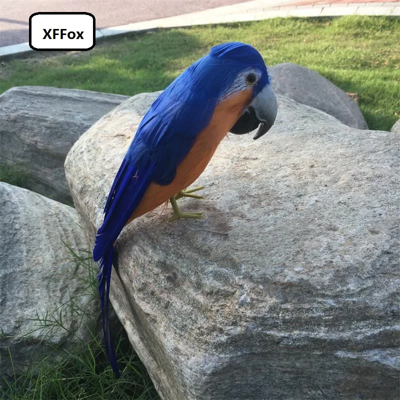 

cute simulation dark blue&orange parrot model foam&furs real life parrot bird doll gift about 30cm xf1135